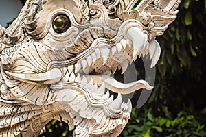 Close up white naga heads open mouth with white fangs in Thai's style patterned in Buddhist temple. Scary white head of the serpe