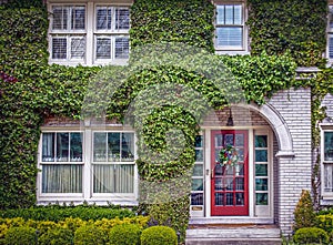 Close-up of white painted brick house with arched entrance and red French door almost covered with ivy with landscape bushed at