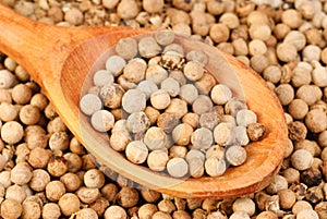 Close up white pepper and wooden spoon