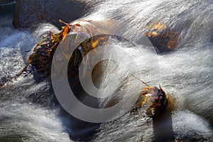 Close-up of the white water of a flowing stream, with long exposure time