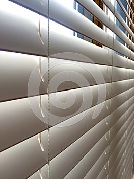 Close-up White Wood window blinds