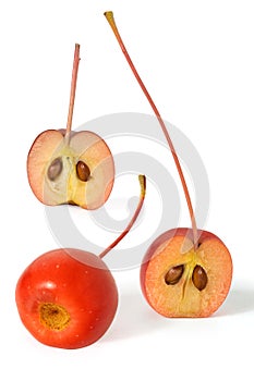 Close-up of whole and halves of a paradise apple berry with a peduncle on a white background. Full depth of field.