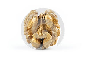 Close up whole walnut kernel without shell on white background. healthy food for brain