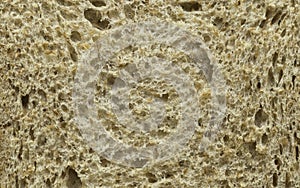 A close up of wholemeal bread background and texture