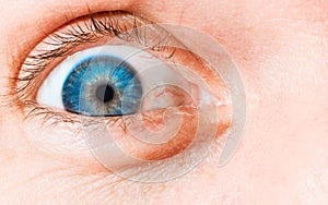 Close-up of wide open human eye, blue iris, vessels and capillaries, macro photography