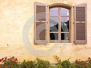 Close-up on a window and its light brown shutters, ocher wall and alley of small red roses in bloom, against the