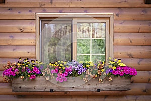 Close up of window with window box full of flowers