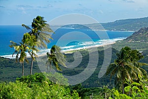 CLOSE UP: Winds blow over the untouched green shore of Barbados on a sunny day.