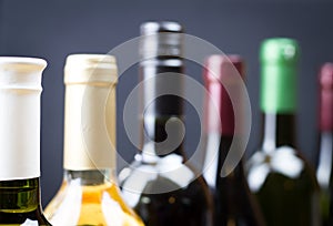 Close up of wine bottles in a row isolated on a gray background, bottles of wine