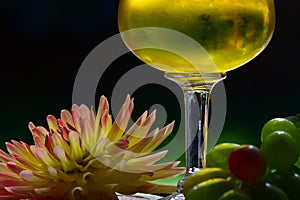 A close up of a wine glass with cold white wine, grapes and a dahlia flower on dark background.