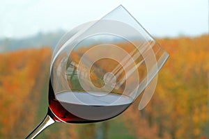 Close up of a wineglass of red wine with autumnal colorful vineyards in background