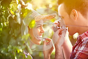 Close-up of winemakers tasting grapes in vineyard