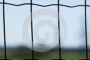 Close Up of Wire FEnce