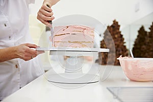 Close Up Of Woman In Bakery Decorating Cake With Icing