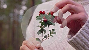 Close up of woman eating bilberries in forest