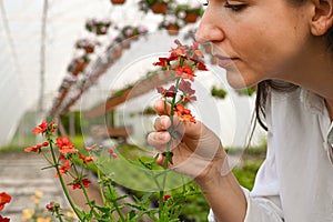 Close up of woman gardener sniffing flower against large flower plantations. People, job and lifestyle concept.