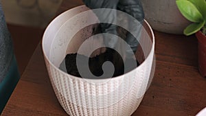 Close-up of a woman in gloves pours into a flower pot a soil for home flowers.