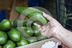 Close up woman hand choosing green hass avocados in the supermarket