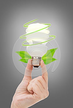 Close up of woman hand holding light bulb