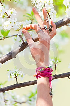 Woman hand in yoga mudra gesture in front cherry blossom outdoor sunny spring day photo