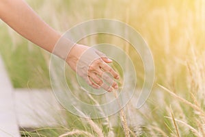 Close up woman hand running through meadow field with flowers grass