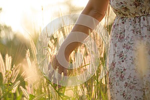 Close up woman hand is touching flower grass in field