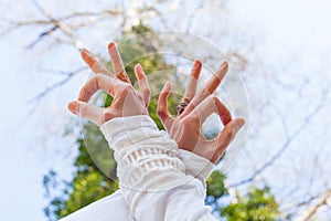 Close up woman hand   in yoga mudra gesture from below view to the sky and tree