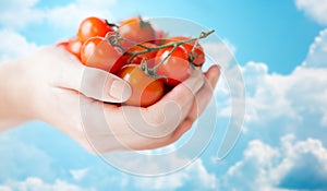 Close up of woman hands holding cherry tomatoes