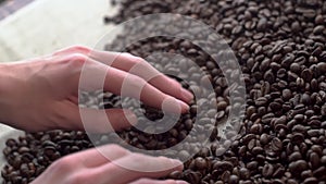 Close up woman hands sorting poor quality`s of rusted coffee beans