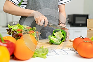 Close-up of woman hands use a knife to cut the bell pepper and various green leafy vegetables.