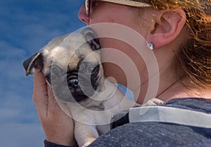 Close Up woman holding Pug puppy