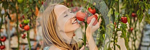Close up of woman holding tomatoes on branch next to her face, thinking of eating it BANNER, LONG FORMAT