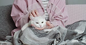 Close-up woman in pink casual shirt with perfect manicure stroking cat. Cropped shot of young female hands palms of