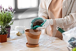 close up of woman planting pot flowers at home