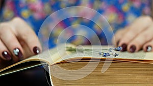 Close-up of a woman reading a romantic book holding a dried lavender flower in her hand. Reading romance novels. A woman enjoys re