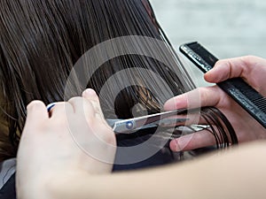 Close-up of a woman`s haircut.