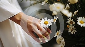 Close-up of a woman& x27;s hand holding a daisy, blurred greenery