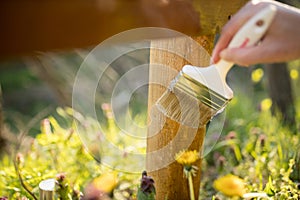 Close-up of a woman`s hand holding a paintbrush and painting wooden fence