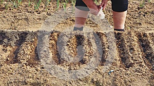 Close-up of a woman's hand sows carrot seeds in furrows with compost.