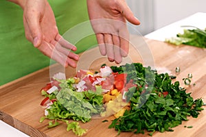Close up of woman`s hands cooking in the kitchen. Housewife offering fresh salad. Vegetarian and healthily cooking