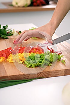 Close up of woman`s hands cooking in the kitchen. Housewife slicing fresh salad. Vegetarian and healthily cooking