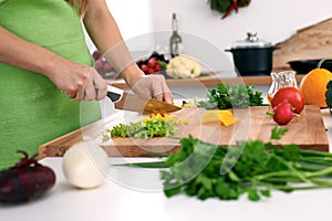 Close up of woman`s hands cooking in the kitchen. Housewife slicing fresh salad. Vegetarian and healthily cooking