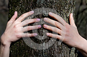 Close-up of Woman`s Hands embracing a Tree Trunk in the Forest. Tree hugging. Back to Nature concept. Touch and Love