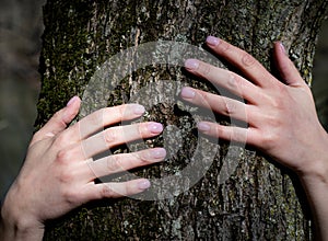 Close-up of Woman`s Hands embracing a Tree Trunk in the Forest. Tree hugging. Back to Nature concept. Touch and Love