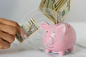 Close-up of a woman's hands put dollar paper money in a piggy bank, next to a calculator on the table. economy, crisis and