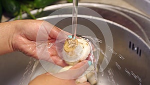 Close-up of woman`s hands washing fresh mushrooms in kitchen sink.