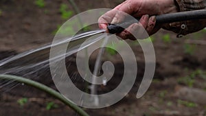 Close up of woman`s hands watering garden with hose. Older female courting of her household.