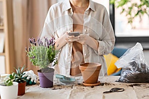 close up of woman with smartphone planting flowers