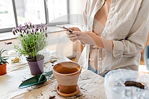 close up of woman with smartphone planting flowers