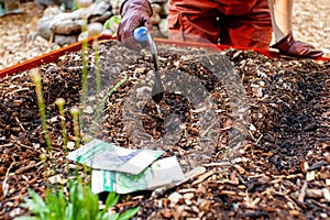 Close up of a woman working in the garden in the spring time